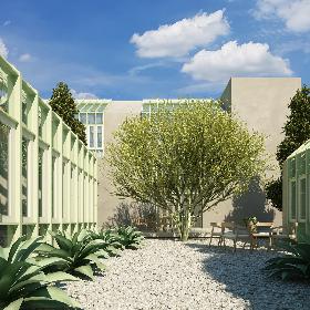 Desert Museum Tree model